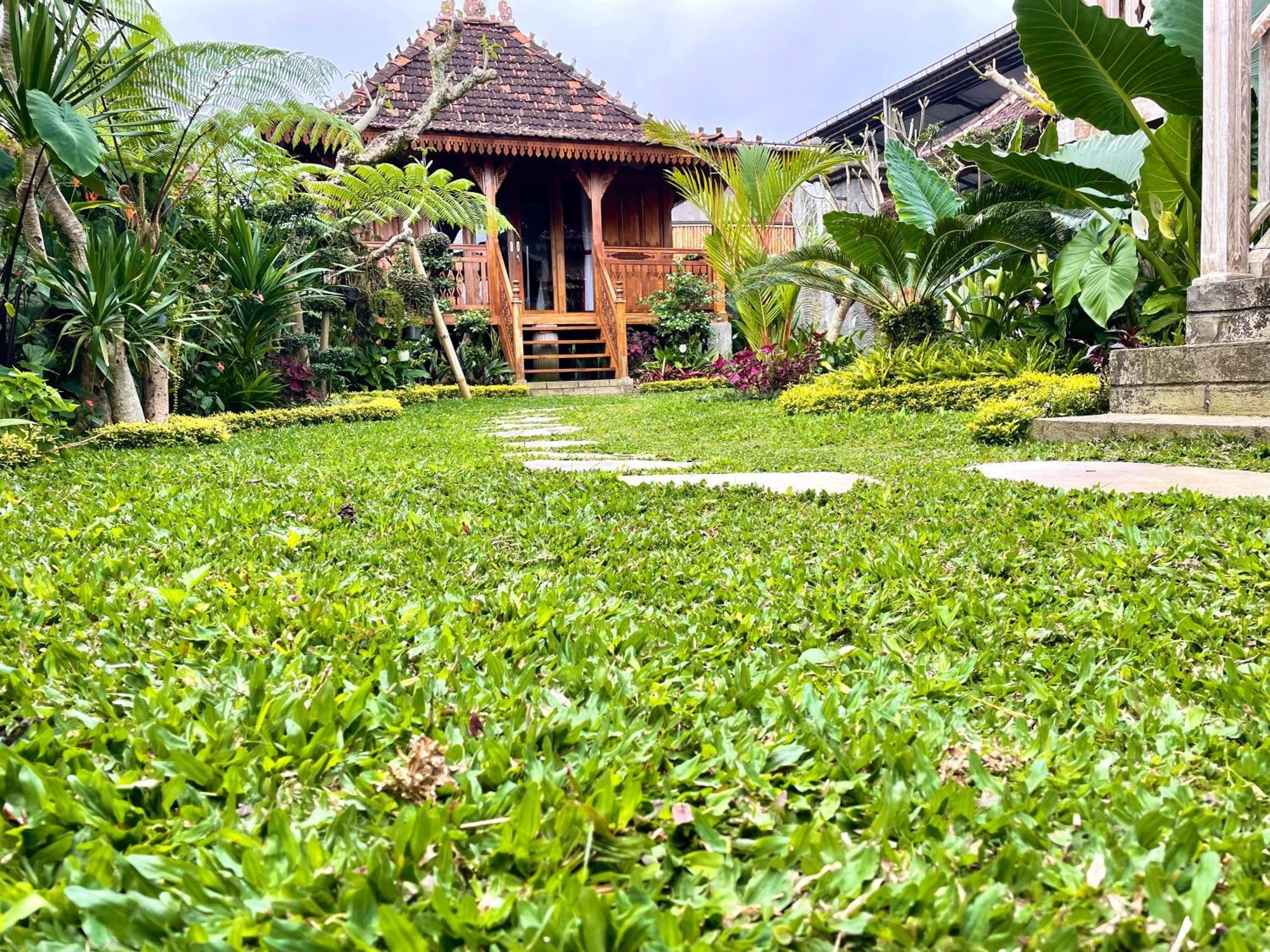 Jane'S House & Spa Bedugul Bali Pacung Ngoại thất bức ảnh